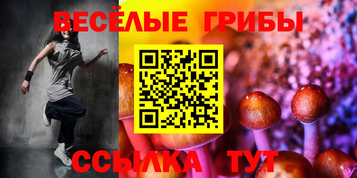 Советская Гавань  Псилоцибиновые грибы MAGIC MUSHROOMS  Вход с VPN 